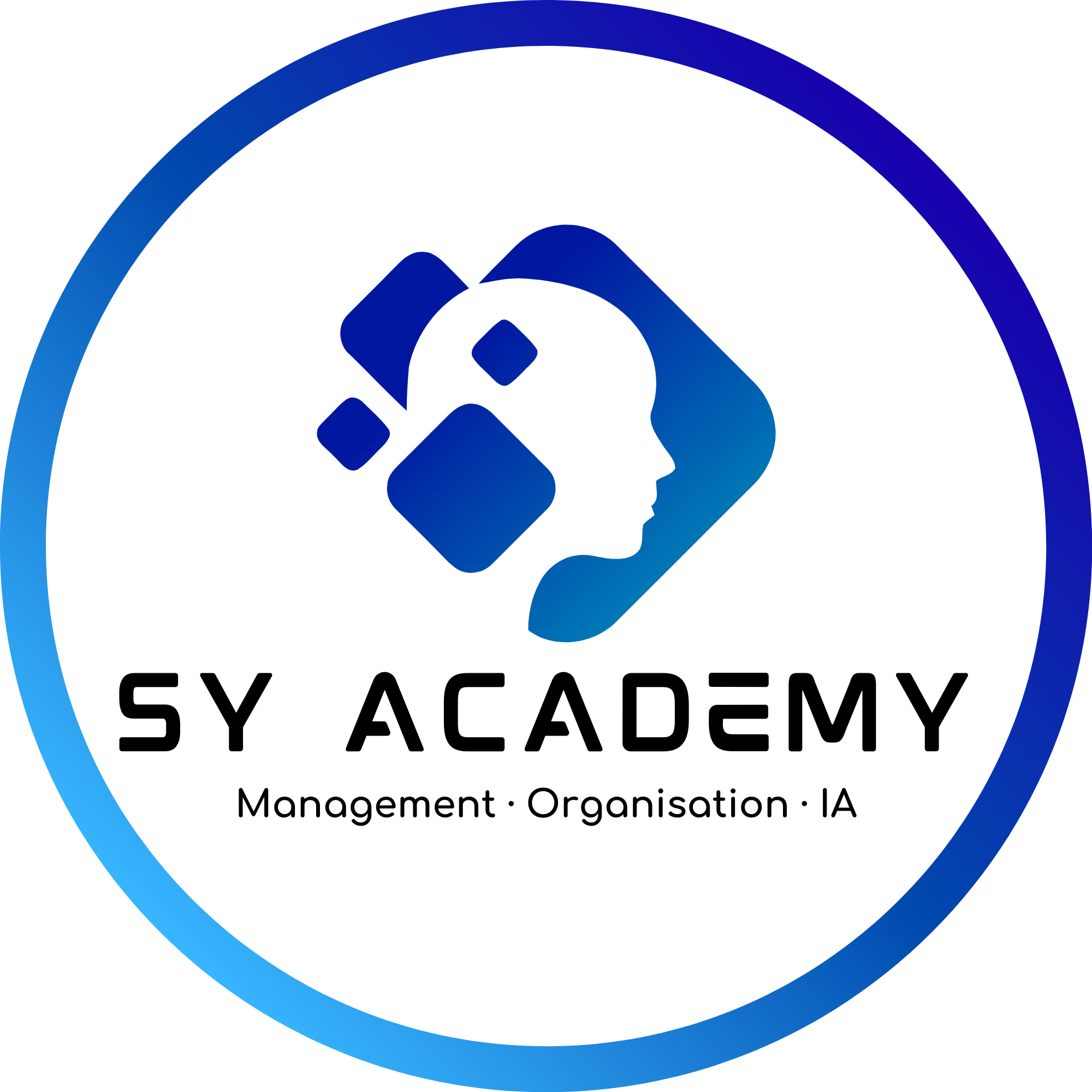 SY Academy — Management, Organisation & IA